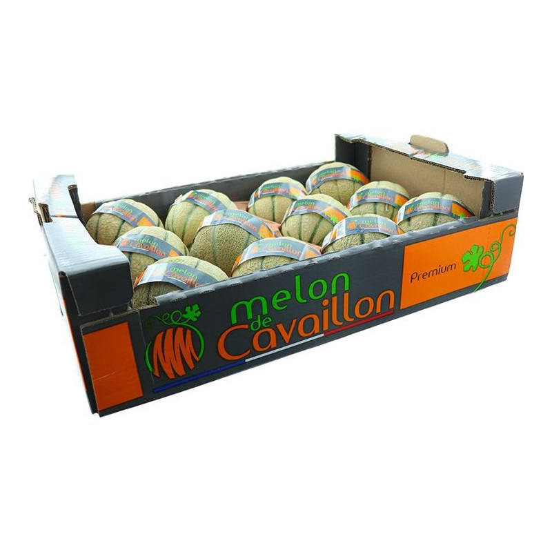 MELON CHARENTAIS CAVAILLON 12PCS